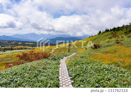 苗場山山頂木道01 131762328