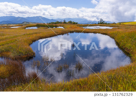 苗場山山頂湿原02 131762329