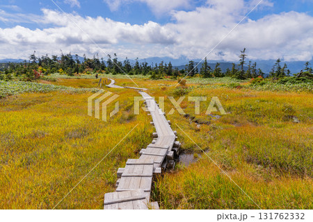 苗場山山頂木道02 131762332