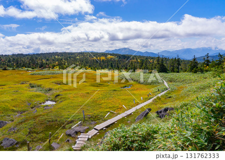 苗場山山頂木道03 131762333