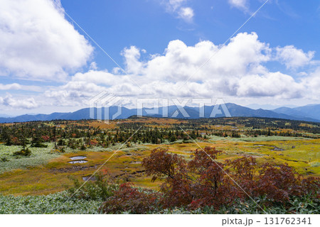 苗場山山頂湿原08 131762341