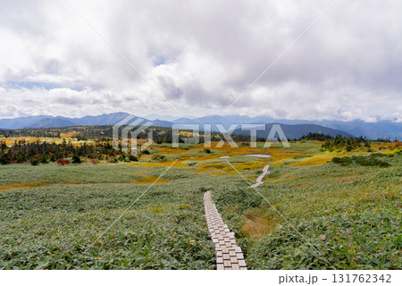苗場山山頂木道05 131762342