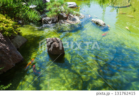 A peaceful koi pond surrounded by stones and vibrant plants A peaceful koi pond surrounded by stones and vibrant plants 131762415