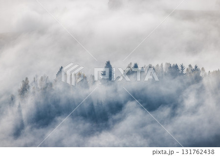 Misty forest landscape with fog rolling through the trees creating an ethereal and tranquil scene of nature's beauty. Misty forest landscape with fog rolling through the trees creating an ethereal and tranquil scene of nature's beauty. 131762438
