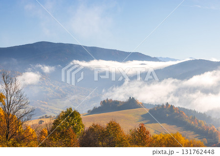 Scenic mountain landscape featuring autumn foliage and low-lying clouds. Serene view of nature's beauty with hills and golden trees. Northwest of Slovakia, Europe. 131762448