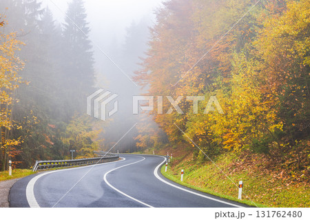 Winding autumn road with colorful foliage and fog, creating a scenic, misty atmosphere. Perfect for travel and nature backgrounds. 131762480
