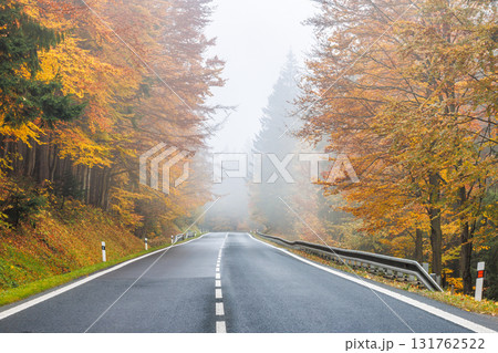 Autumn's golden hues frame a tranquil road inviting journeys into misty landscapes. Experience the season's serene embrace. 131762522