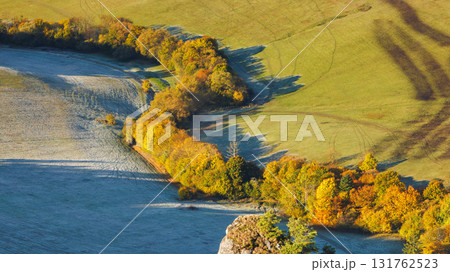 Aerial view of autumn trees dividing fields, casting shadows across the landscape, showing a picturesque seasonal scene. The Sulov Rocks, national nature reserve in northwest of Slovakia, Europe. 131762523