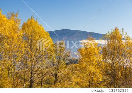 Autumnal mountain landscape with vibrant yellow trees against a clear blue sky and distant mountains, natural beauty abounds. Northwest of Slovakia, Europe. Autumnal mountain landscape with vibrant yellow trees against a clear blue sky and distant mountains, natural beauty abounds. Northwest of Slovakia, Europe. 131762533