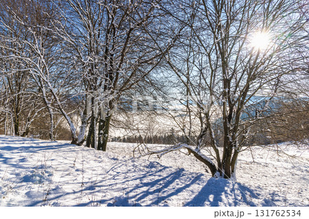 Snowy trees in the foreground of the winter misty landscape at sunny day. The Orava region in north of Slovakia, Europe. Snowy trees in the foreground of the winter misty landscape at sunny day. The Orava region in north of Slovakia, Europe. 131762534