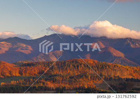 Autumn mountain range under a soft sky, illuminated by gentle light, with colorful trees in foreground. The Mala Fatra national park in Slovakia, Europe. 131762592