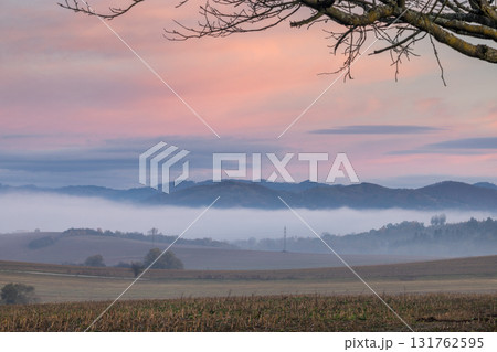 Foggy sunrise over open fields and distant mountains, framed by tree branches silhouetted against a pink sky. 131762595