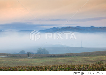 Misty morning light illuminates rolling hills and open fields for a picturesque landscape view. Misty morning light illuminates rolling hills and open fields for a picturesque landscape view. 131762597