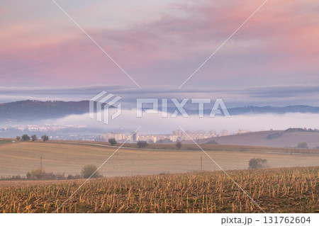 Fog blankets city below mountain at sunrise, golden corn field in foreground, dreamy pastel skyscape. Fog blankets city below mountain at sunrise, golden corn field in foreground, dreamy pastel skyscape. 131762604