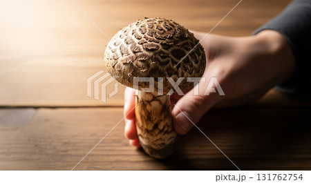 Person Holding Matsutake Mushroom on Table 131762754