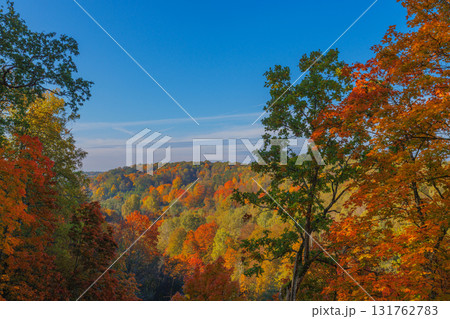 A Stunning Autumn Landscape Featuring Vibrant Trees, Bright Colors, and a Clear Blue Sky 131762783