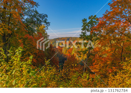 A Stunning Autumn Landscape Featuring Vibrant Trees, Bright Colors, and a Clear Blue Sky A Stunning Autumn Landscape Featuring Vibrant Trees, Bright Colors, and a Clear Blue Sky 131762784