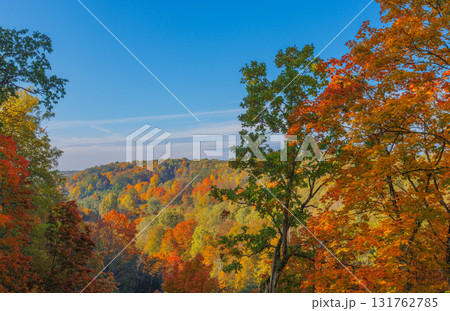 A Stunning Autumn Landscape Featuring Vibrant Trees, Bright Colors, and a Clear Blue Sky 131762785