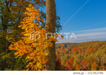 A Stunning Autumn Landscape Featuring Vibrant Trees, Bright Colors, and a Clear Blue Sky 131762786
