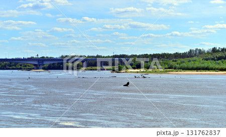 Warsaw, Poland. 11 August 2025. Vistula River in Wawer district 131762837