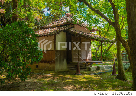 名古屋城の茶席 名古屋城の茶席 131763105