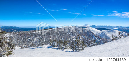 雪に覆われた針葉樹林と浅間山を含む遠くの山々を見渡す冬の絶景 (群馬県、渋峠) 雪に覆われた針葉樹林と浅間山を含む遠くの山々を見渡す冬の絶景 (群馬県、渋峠) 131763389