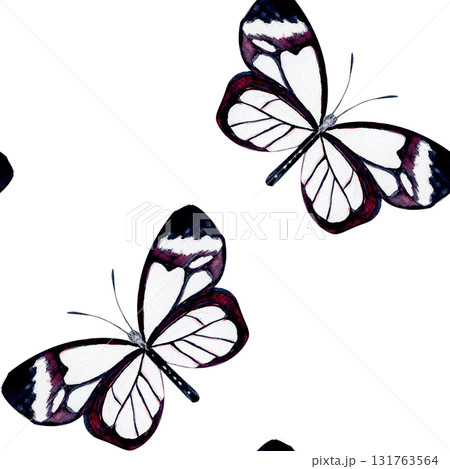 Elegant black and white butterfly with violet details. Hand-painted watercolor seamless pattern isolated on white. Perfect for nature designs, stationery, fabric, packaging, and botanical projects Elegant black and white butterfly with violet details. Hand-painted watercolor seamless pattern isolated on white. Perfect for nature designs, stationery, fabric, packaging, and botanical projects 131763564