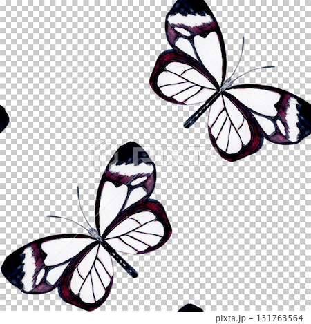 Elegant black and white butterfly with violet details. Hand-painted watercolor seamless pattern isolated on white. Perfect for nature designs, stationery, fabric, packaging, and botanical projects Elegant black and white butterfly with violet details. Hand-painted watercolor seamless pattern isolated on white. Perfect for nature designs, stationery, fabric, packaging, and botanical projects 131763564