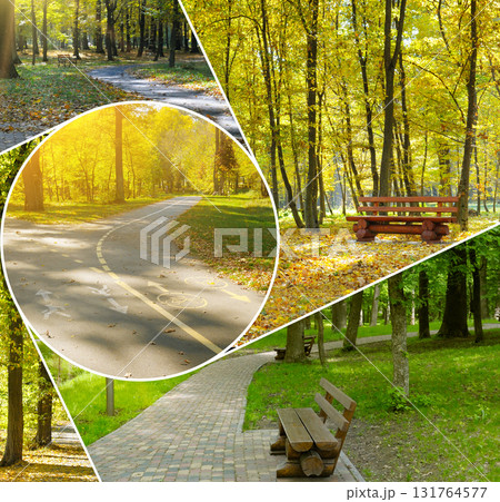 Collection of Public Park Scenes Featuring Benches and Bicycle Path 131764577