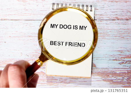 A hand holds a magnifying glass over a notebook. The glass focuses on the words MY DOG IS MY BEST FRIEND. This is set on a light, painted wood surface 131765351