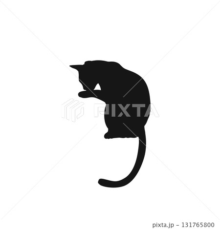 Set of black cat silhouette isolated on white background. Set of black cat silhouette isolated on white background. 131765800