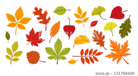 Autumn leaves set. Different leaves. Hand drawn trendy flat style  131766680