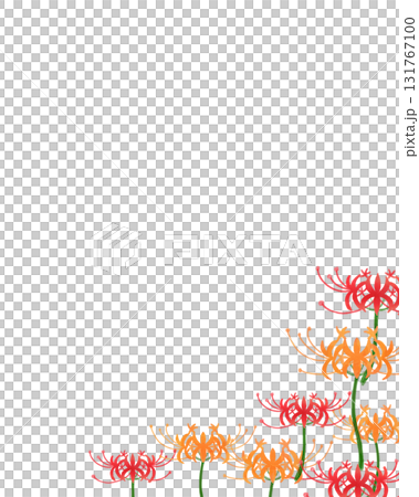 Watercolor frame of red and orange spider lilies | Autumn Japanese-style design, message card, seasonal stationery, poster 131767100