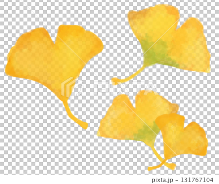 水彩風格的銀杏插畫素材 | 非常適合秋季設計和背景 | 自然優雅的秋葉素材 水彩風格的銀杏插畫素材 | 非常適合秋季設計和背景 | 自然優雅的秋葉素材 131767104