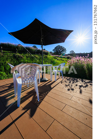 秋の上場高原　コスモス畑とパラソルテーブル 131767662