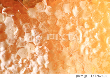 はちみつ 5 巣蜜のクローズアップ はちみつ 5 巣蜜のクローズアップ 131767690