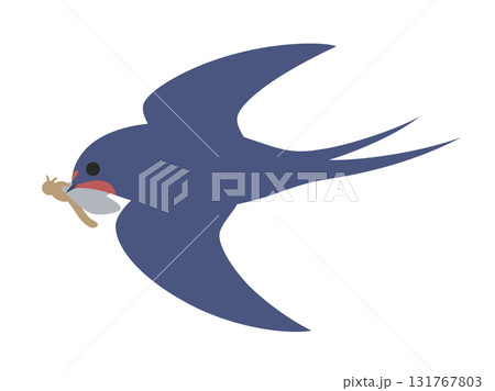 低空飛行して虫を捕まえたツバメのイラスト 低空飛行して虫を捕まえたツバメのイラスト 131767803
