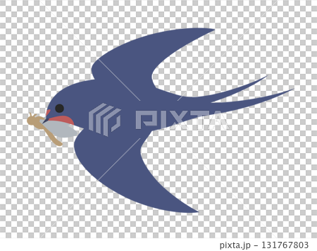 一隻燕子低空飛行捕捉昆蟲的插圖 131767803
