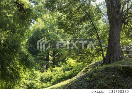Wooden bridge passage in the woods. 131768380