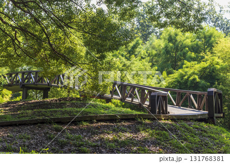 Wooden bridge passage in the woods. 131768381