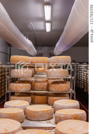 Cheese wheels made from cows milk aging on wooden shelves inside a cheese factory. Cheese wheels made from cows milk aging on wooden shelves inside a cheese factory. 131768398