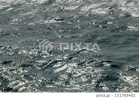 Abstract blue sea water with white wave for background. High quality photo 131768402