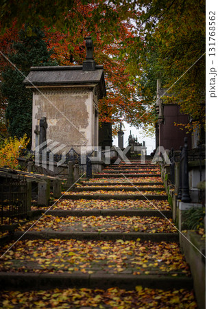Ghent, Belgium - November 16 2024. Ancient cemetery tombs and grave stones on Campo Santo historical old graveyard in Sint-amandsberg municipality Ghent, Belgium - November 16 2024. Ancient cemetery tombs and grave stones on Campo Santo historical old graveyard in Sint-amandsberg municipality 131768562