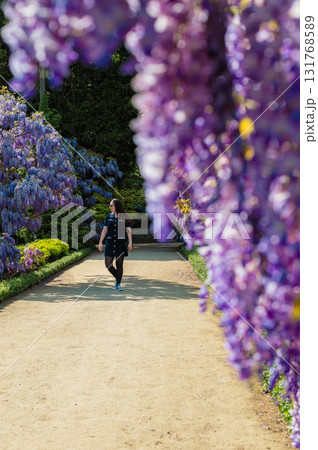 Young beautiful woman standing gracefully beside cascading purple wisteria flowers in bloom. 131768589