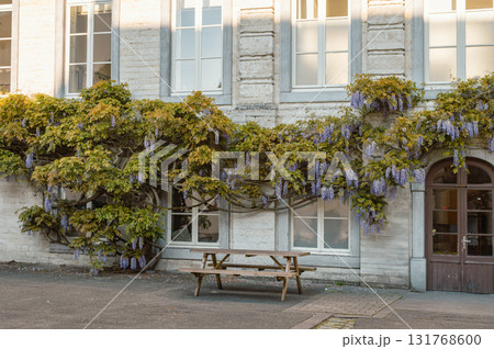 Leuven, Belgium - April 26, 2025: Lively Oude Markt Square in Leuven, Belgium, known as the longest bar in the world, with historic buildings and vibrant atmosphere. Leuven, Belgium - April 26, 2025: Lively Oude Markt Square in Leuven, Belgium, known as the longest bar in the world, with historic buildings and vibrant atmosphere. 131768600