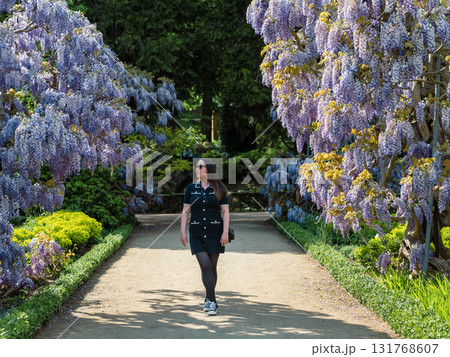 Young beautiful woman standing gracefully beside cascading purple wisteria flowers in bloom. 131768607