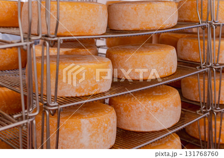 Cheese wheels made from cows milk aging on wooden shelves inside a cheese factory. Cheese wheels made from cows milk aging on wooden shelves inside a cheese factory. 131768760