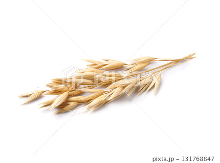 Oat plant Oat plant 131768847