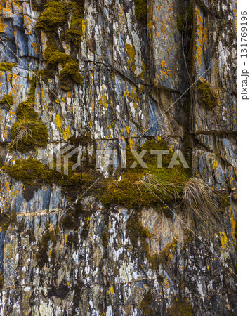 Rugged rock formation with moss on cliff face in nature 131769196