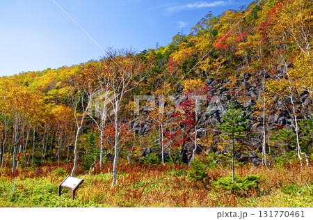 千畳くずれと紅葉 千畳くずれと紅葉 131770461